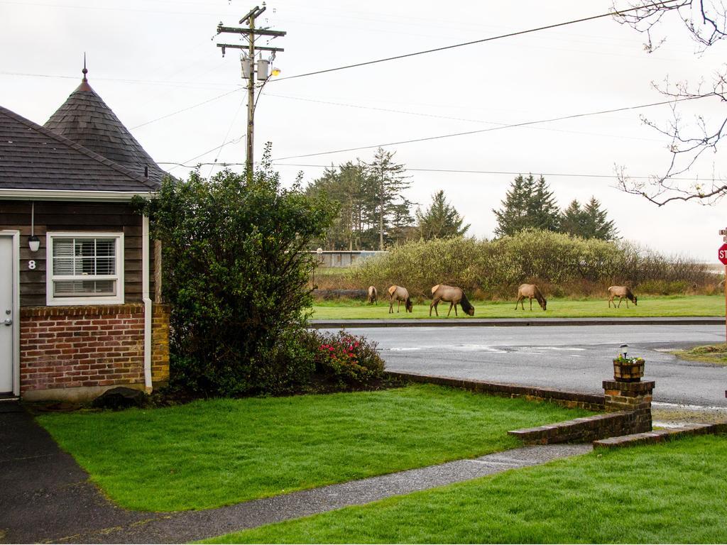 Ecola Creek Lodge Cannon Beach Kültér fotó