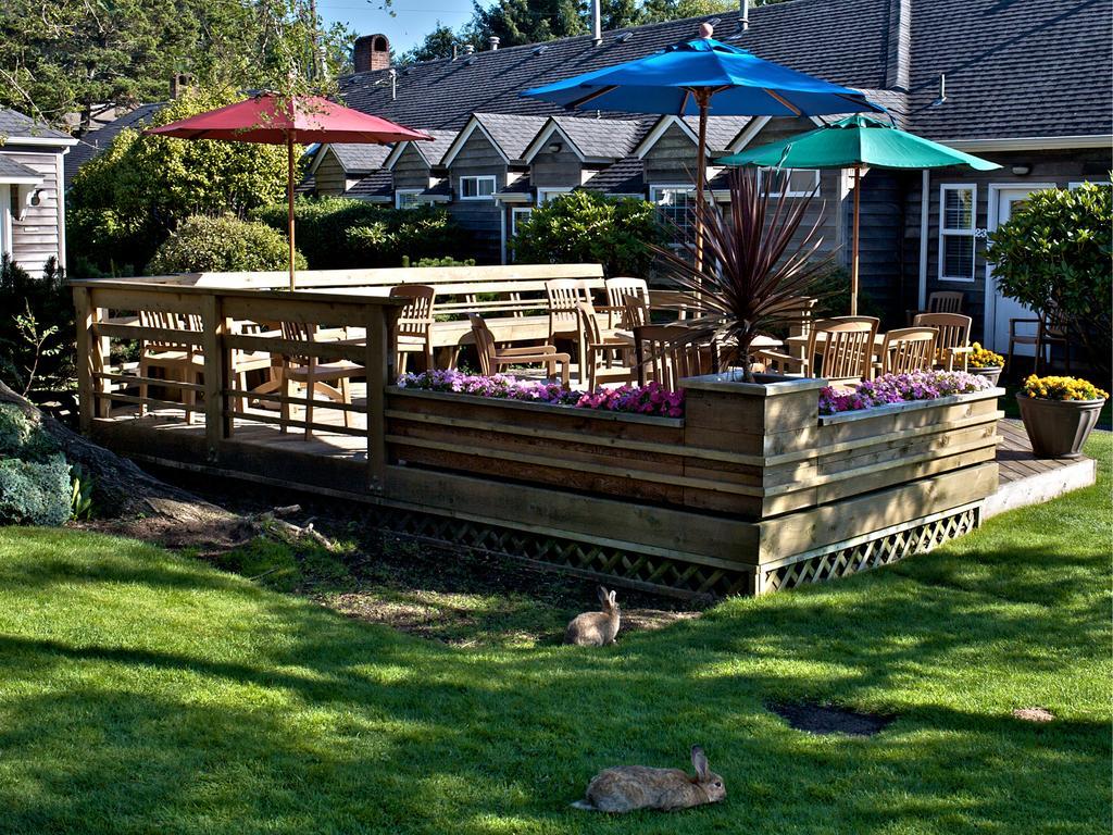 Ecola Creek Lodge Cannon Beach Kültér fotó